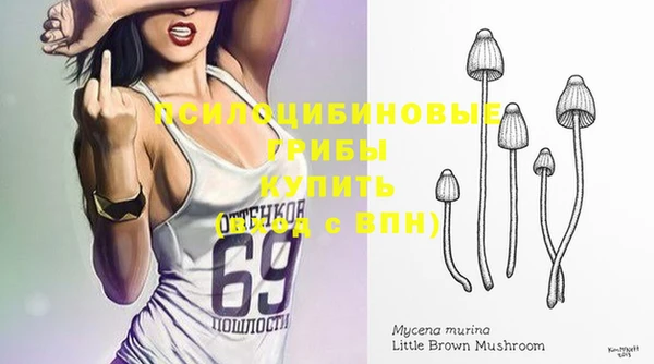 МДПВ Арсеньев