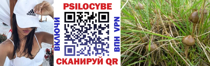 где можно купить наркотик  Сарапул  Галлюциногенные грибы MAGIC MUSHROOMS 